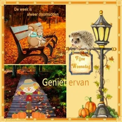 ᐅ goedemorgen dinsdag herfst - Dinsdag plaatjes