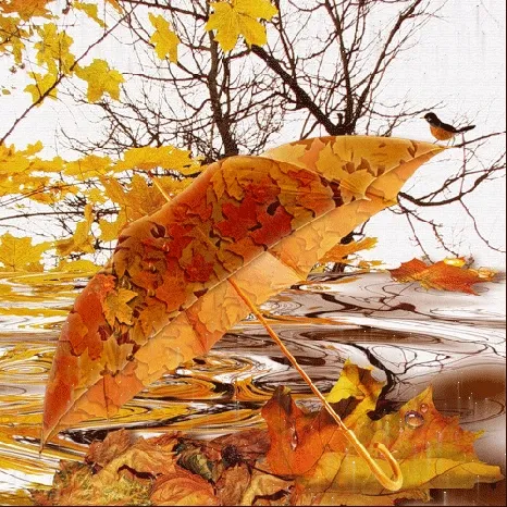 ᐅ goedemorgen dinsdag herfst - Dinsdag plaatjes