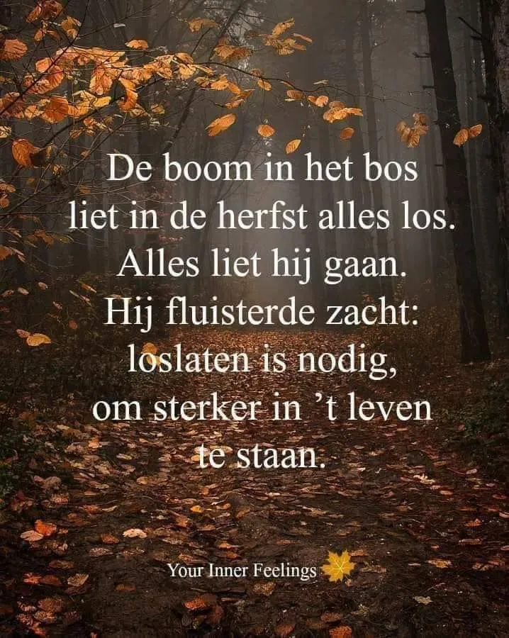 ᐅ goedemorgen dinsdag herfst - Dinsdag plaatjes