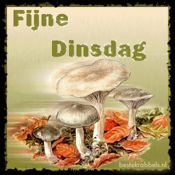 ᐅ goedemorgen dinsdag herfst - Dinsdag plaatjes