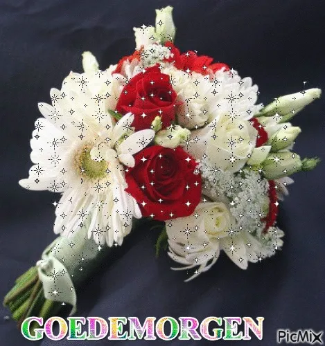 ᐅ goedemorgen dinsdag herfst - Dinsdag plaatjes