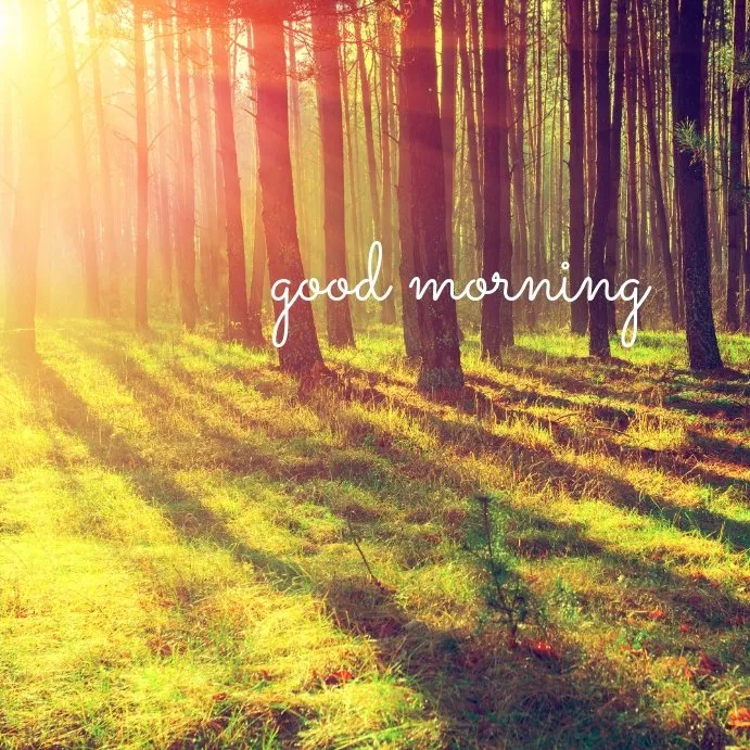 ᐅ goedemorgen dinsdag herfst - Dinsdag plaatjes