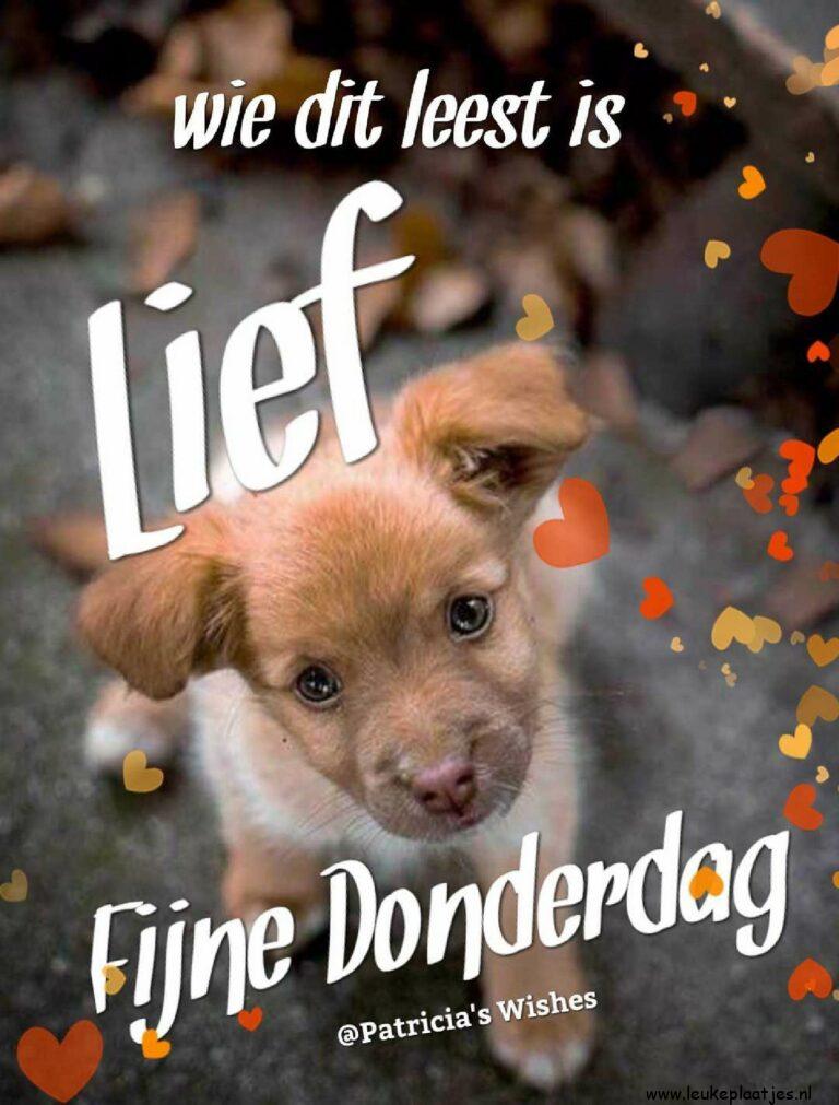 ᐅ goedemorgen donderdag - goedemorgen donderdag plaatjes