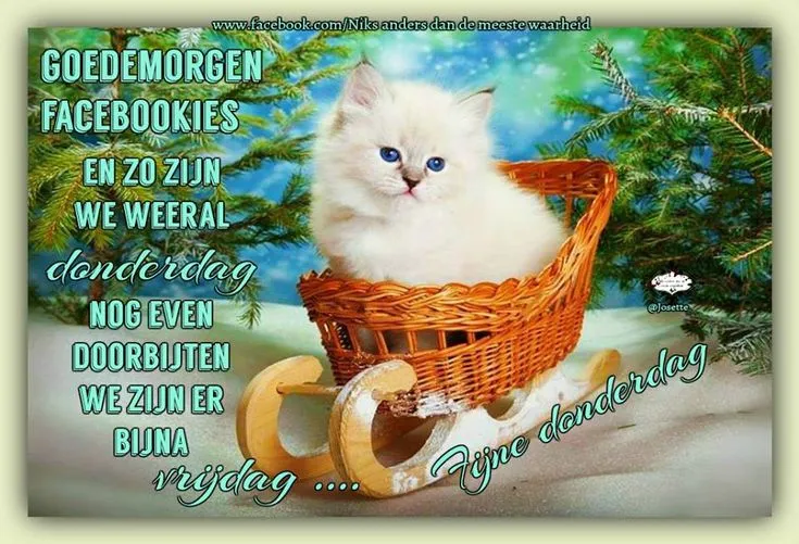 ᐅ goedemorgen donderdag - Donderdag plaatjes