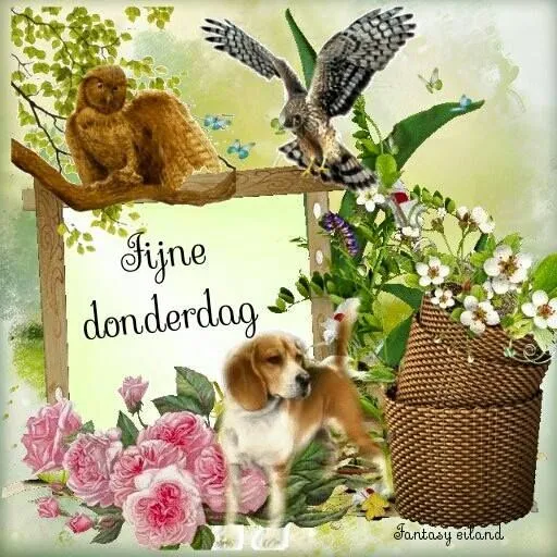 ᐅ goedemorgen donderdag - Donderdag plaatjes