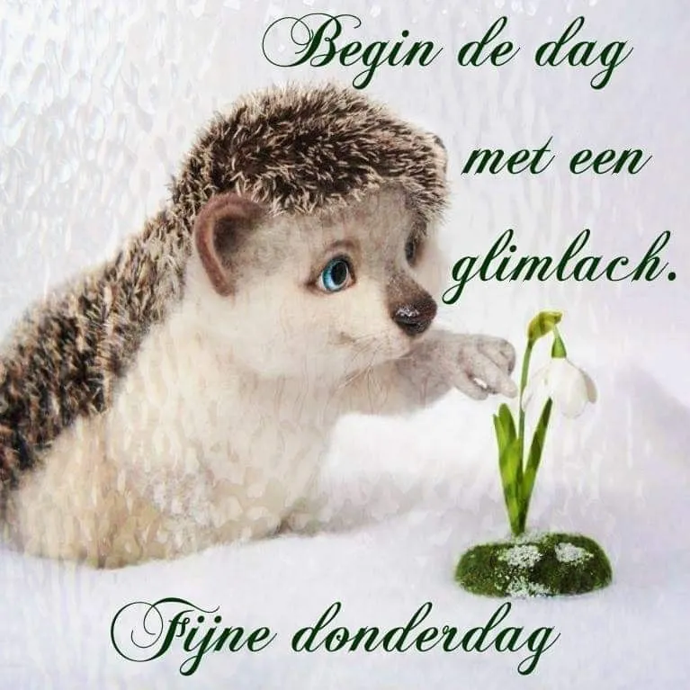 ᐅ goedemorgen donderdag - Donderdag plaatjes