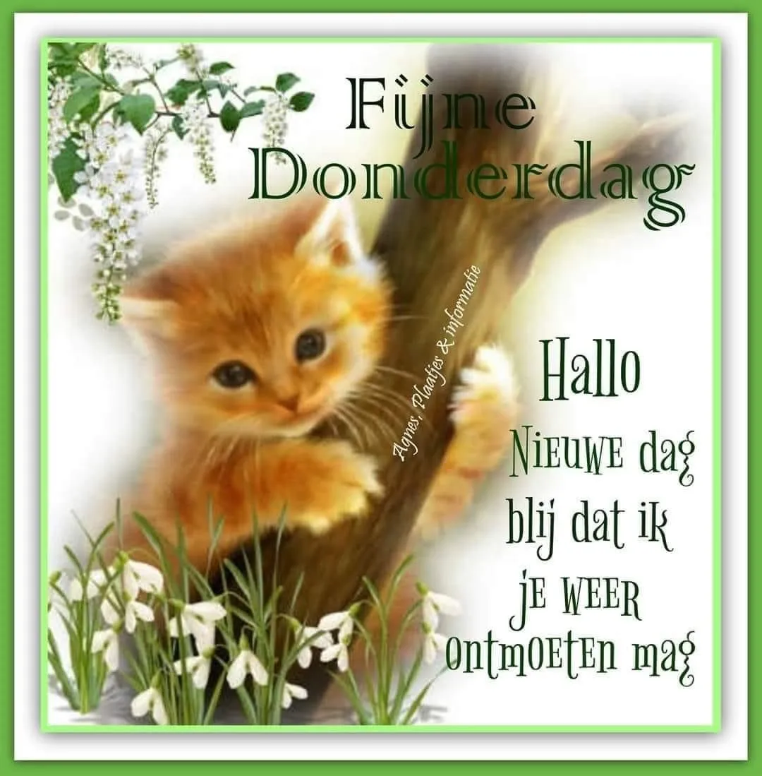 ᐅ goedemorgen donderdag - Donderdag plaatjes