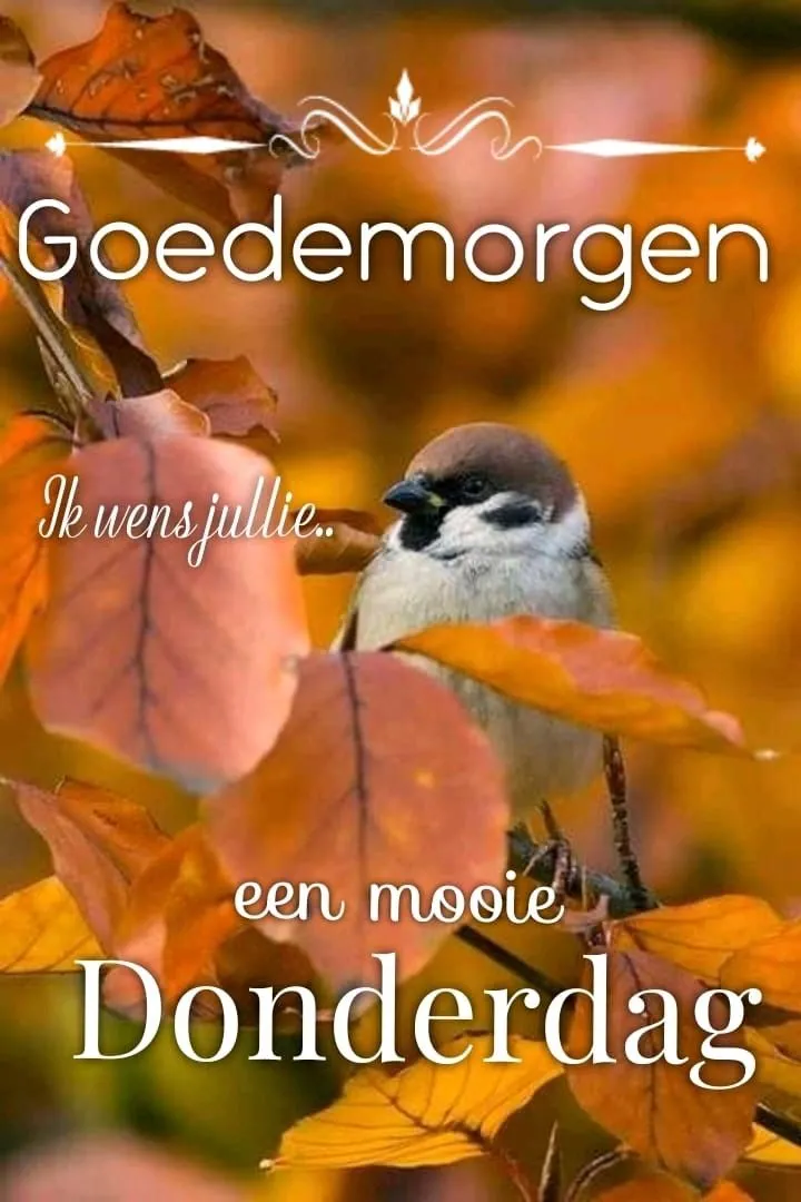 ᐅ goedemorgen donderdag - Donderdag plaatjes