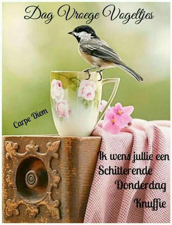ᐅ goedemorgen donderdag - Donderdag plaatjes