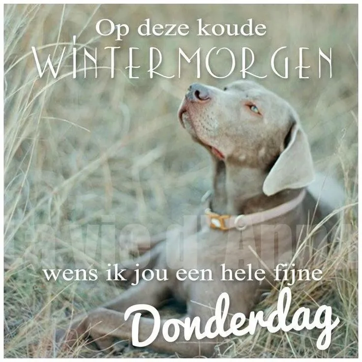 ᐅ goedemorgen donderdag - Donderdag plaatjes