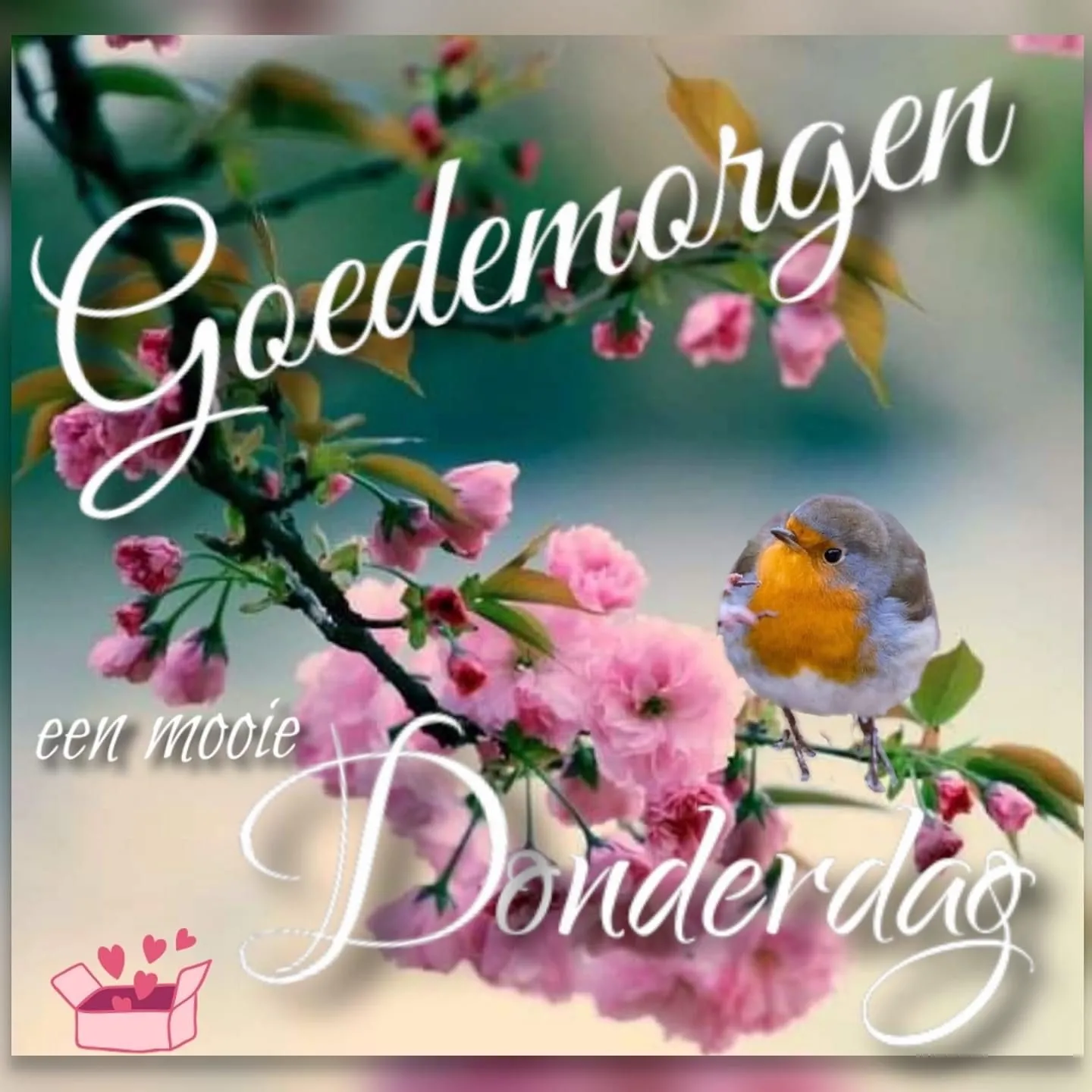 ᐅ goedemorgen donderdag - Donderdag plaatjes