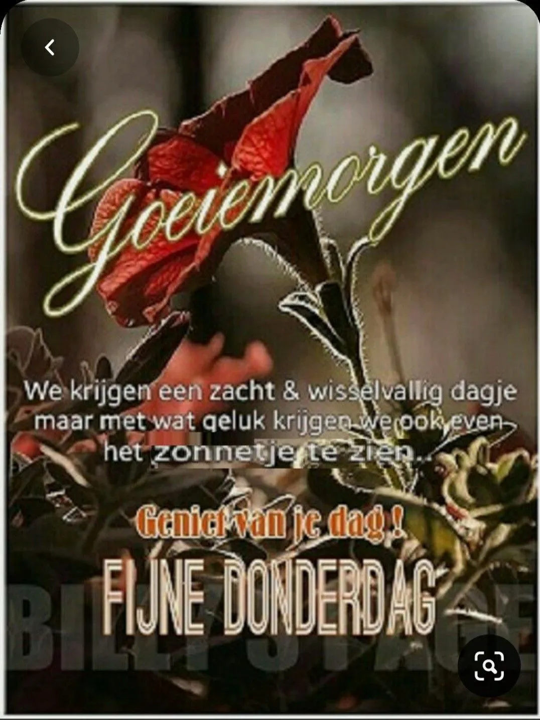 ᐅ goedemorgen donderdag - Donderdag plaatjes