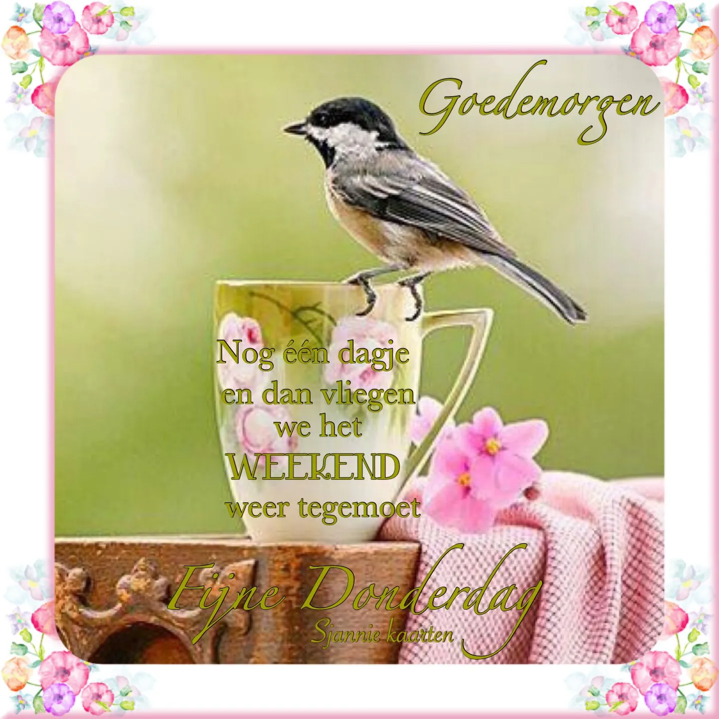 ᐅ goedemorgen donderdag - Donderdag plaatjes