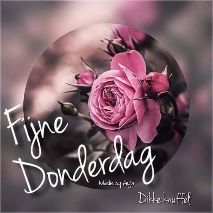 ᐅ goedemorgen donderdag bloemen - Donderdag plaatjes