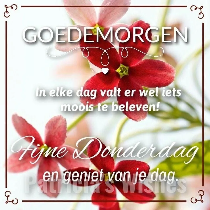 ᐅ goedemorgen donderdag bloemen - Donderdag plaatjes