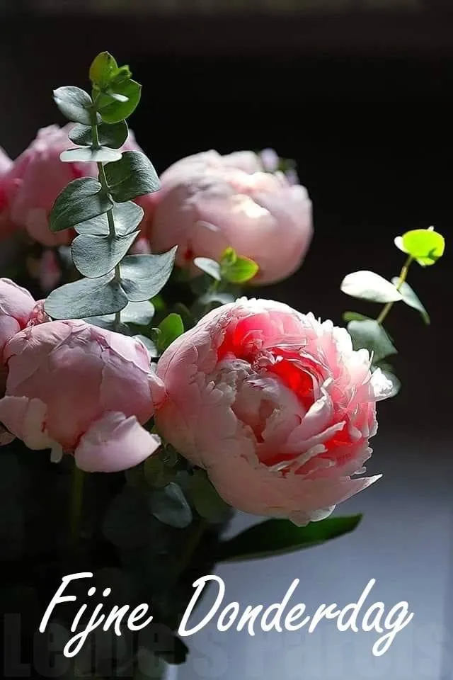 ᐅ goedemorgen donderdag bloemen - Donderdag plaatjes