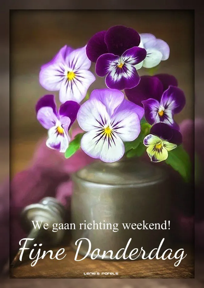 ᐅ goedemorgen donderdag bloemen - Donderdag plaatjes