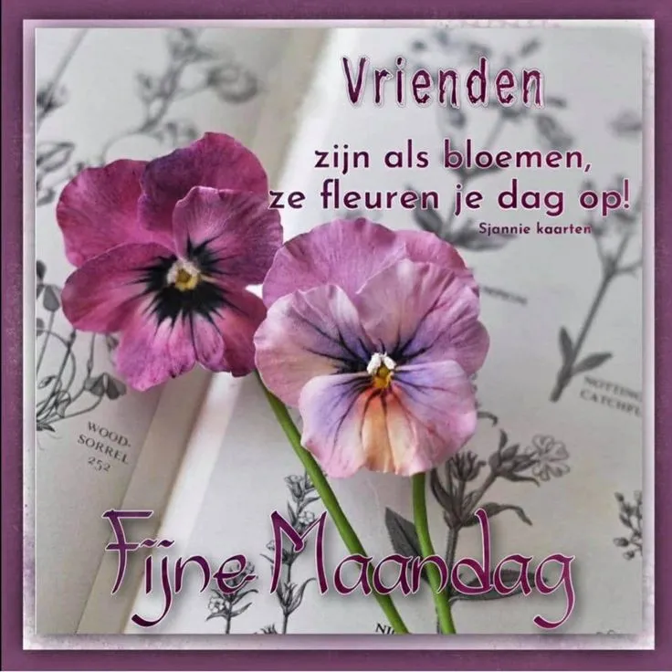 ᐅ goedemorgen donderdag bloemen - Donderdag plaatjes