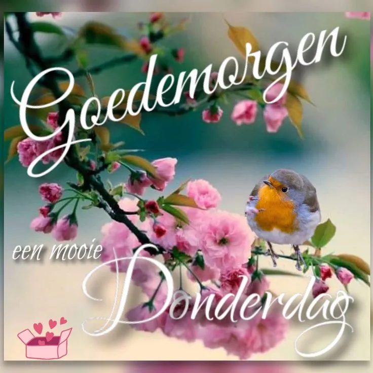 ᐅ goedemorgen donderdag bloemen - Donderdag plaatjes