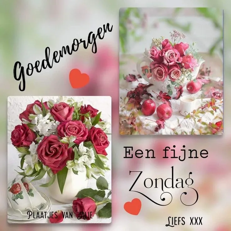 ᐅ goedemorgen donderdag bloemen - Donderdag plaatjes