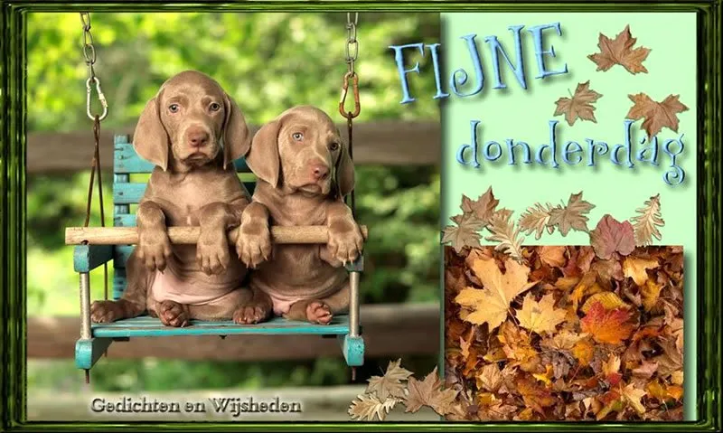 ᐅ goedemorgen donderdag herfst - Donderdag plaatjes ᐅ goedemorgen donderdag herfst - Donderdag plaatjes