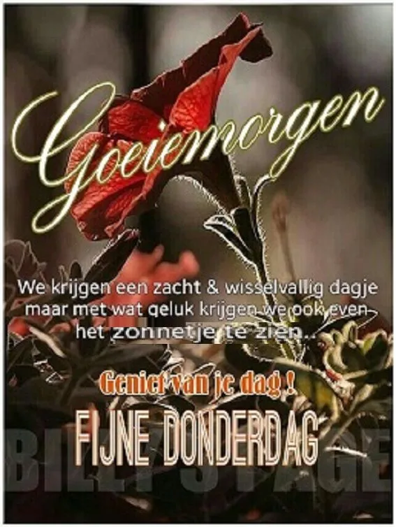 ᐅ goedemorgen donderdag herfst - Donderdag plaatjes ᐅ goedemorgen donderdag herfst - Donderdag plaatjes