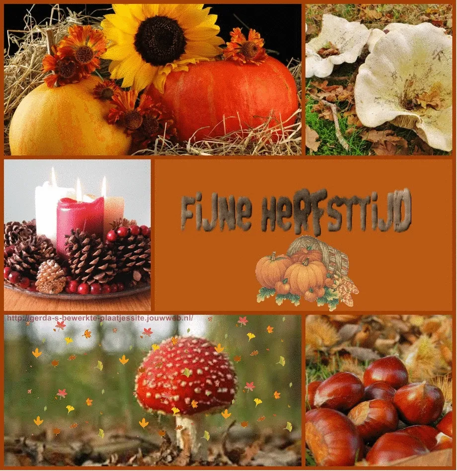 ᐅ goedemorgen donderdag herfst - Donderdag plaatjes ᐅ goedemorgen donderdag herfst - Donderdag plaatjes