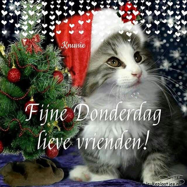 ᐅ goedemorgen donderdag kerst - Donderdag plaatjes