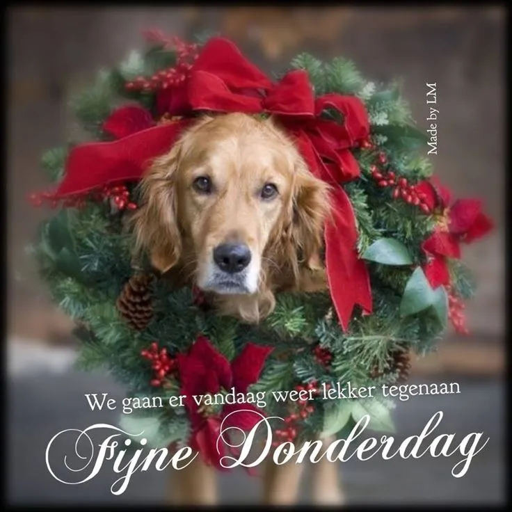 ᐅ goedemorgen donderdag kerst - Donderdag plaatjes