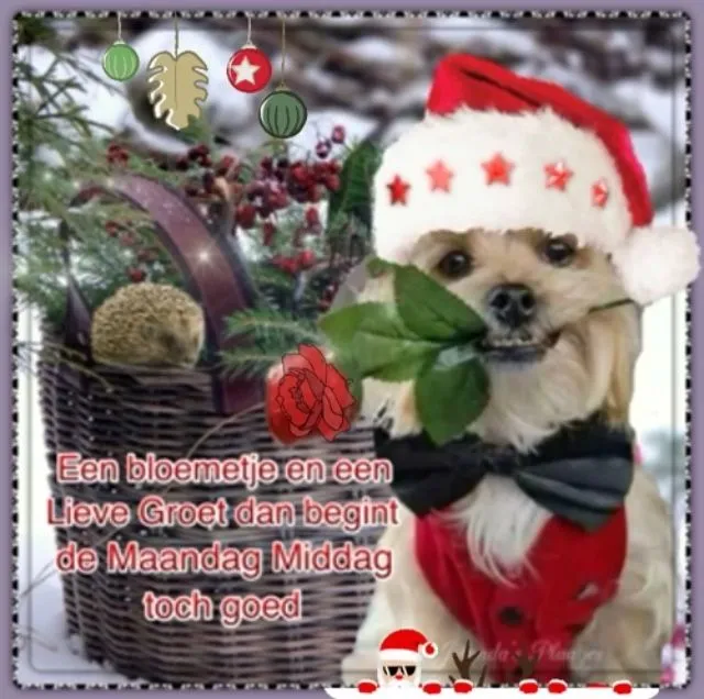 ᐅ goedemorgen donderdag kerst - Donderdag plaatjes