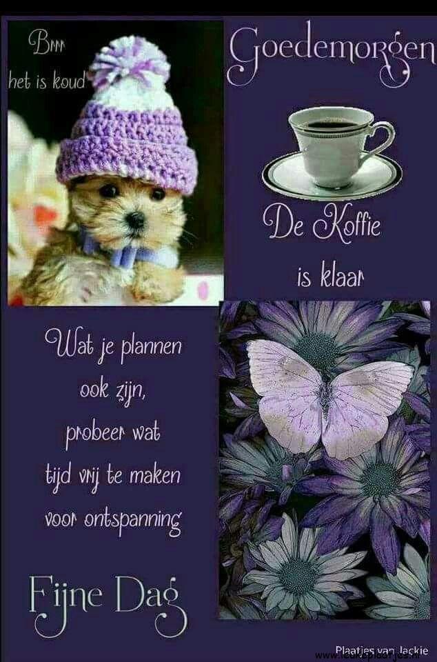 ᐅ goedemorgen fijne dag vandaag - Fijne Dag plaatjes