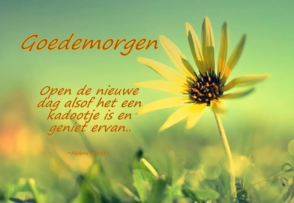 Een gele bloem met de tekst "Goedemorgen" op een groene achtergrond.