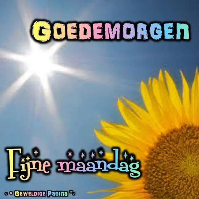 ᐅ goedemorgen fijne maandag - Maandag plaatjes Zon schijnt op een zonnebloem met de tekst "Goedemorgen" en "Fijne maandag".