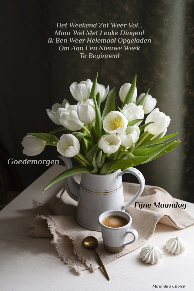 ᐅ goedemorgen fijne maandag - Maandag plaatjes