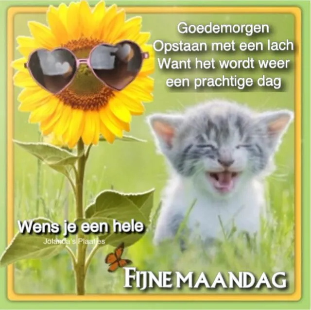 ᐅ goedemorgen fijne maandag - Maandag plaatjes Zonnige achtergrond met een zonnebloem en lachende kitten. Tekst: "Fijne maandag".