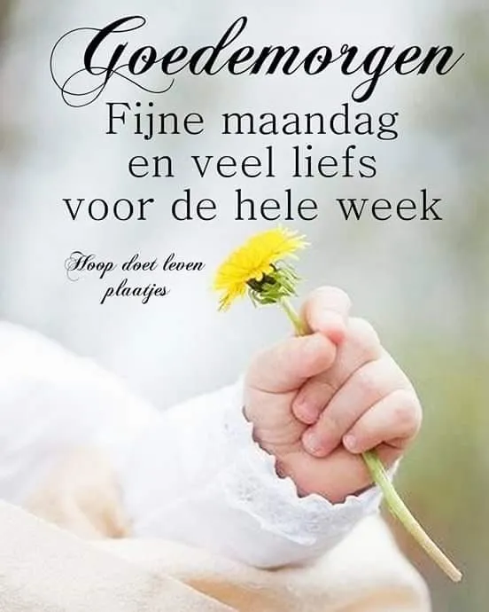 ᐅ goedemorgen fijne maandag - Maandag plaatjes Een hand houdt een gele bloem met de tekst "Goedemorgen" en wensen voor de week.