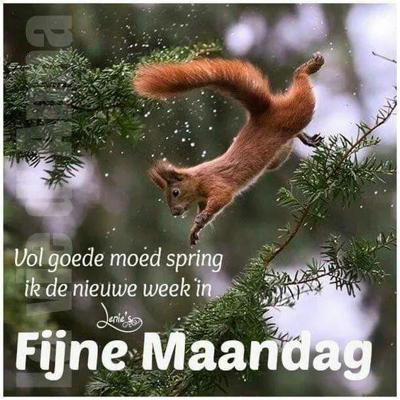 ᐅ goedemorgen fijne maandag - Maandag plaatjes Eekhoorn springt van takken met tekst 'Fijne Maandag' eronder.