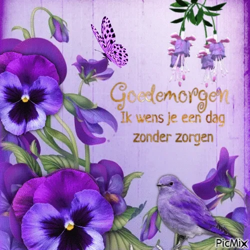 Paarse bloemen en een vogel met de tekst "Goedemorgen, ik wens je een dag zonder zorgen".