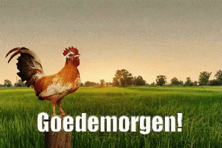 Een haan staat op een paal met de tekst "Goedemorgen!" en een groene lucht op de achtergrond.