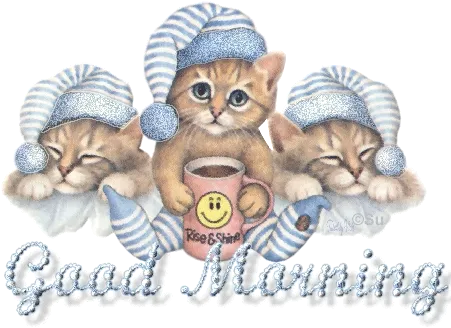 Drie kittens dragen slaapmutsen met een mok en de tekst "Goede Morgen".