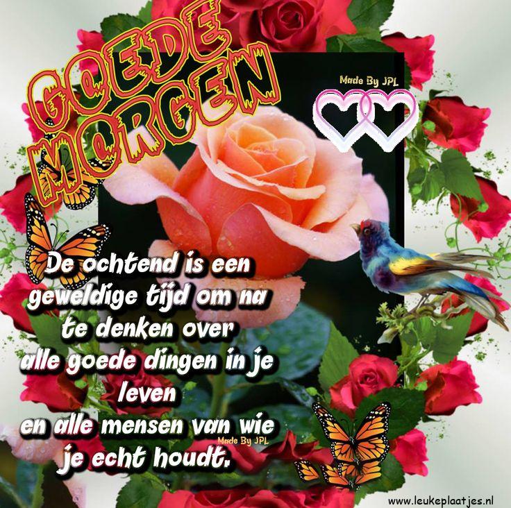 ᐅ goedemorgen groet - Goedemorgen plaatjes