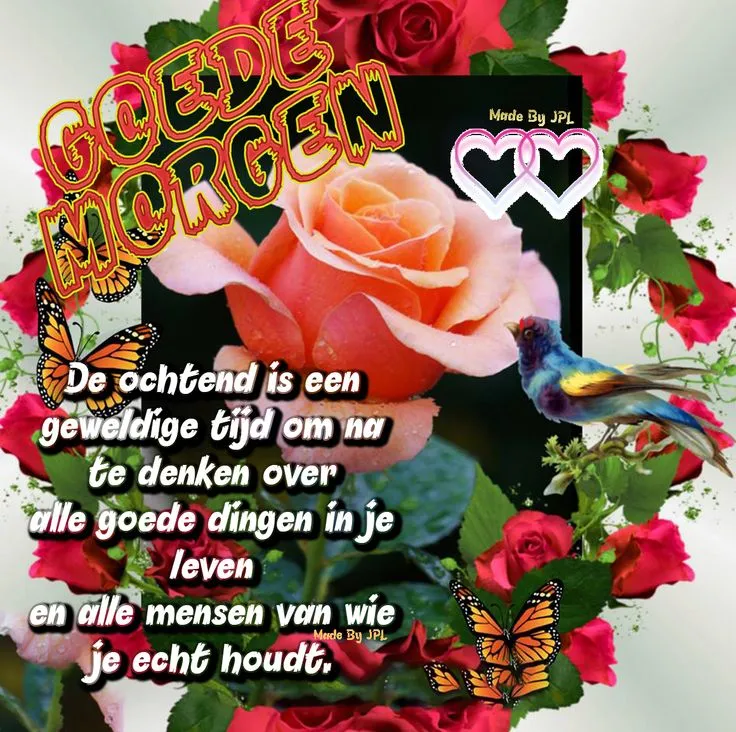 Kleurrijke afbeelding met een roos en motten, met tekst over waardering in het leven.