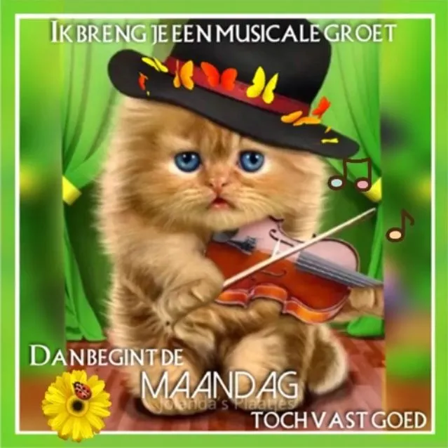 Een schattige kat met een hoed speelt viool in een kleurrijke omgeving.