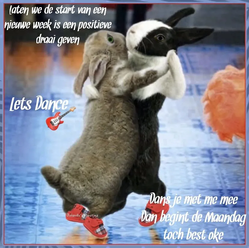 Twee konijnen dansen vrolijk op een kleurrijke vloer met tekst eromheen.