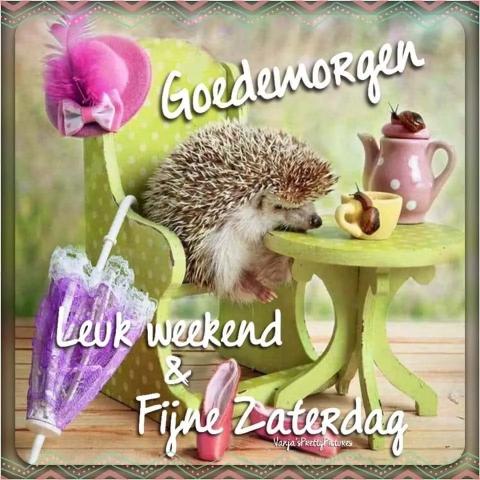 Een egeltje rust op een stoel met een theekop en een parasol, onder tekstgroeten.