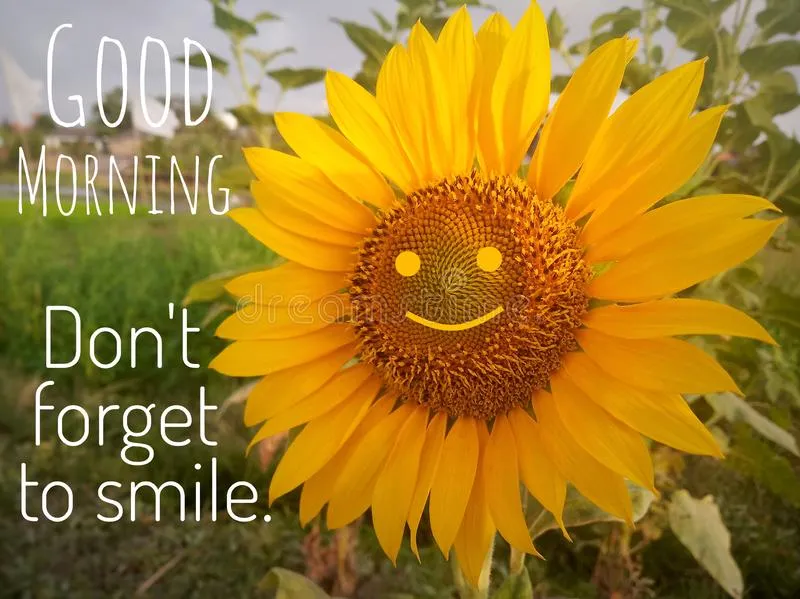 Zonnestraal met een lachend gezicht in het midden, tegen een groene achtergrond.