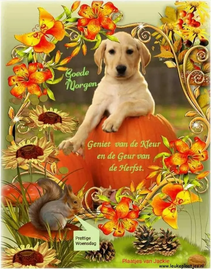 Een puppy zit op een pompoen omringd door bloemen en herfstdecoraties.