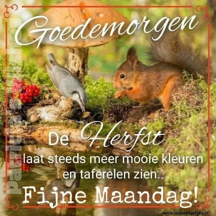 Eekhoorn en vogel bij paddenstoelen in een herfstlandschap met tekst.