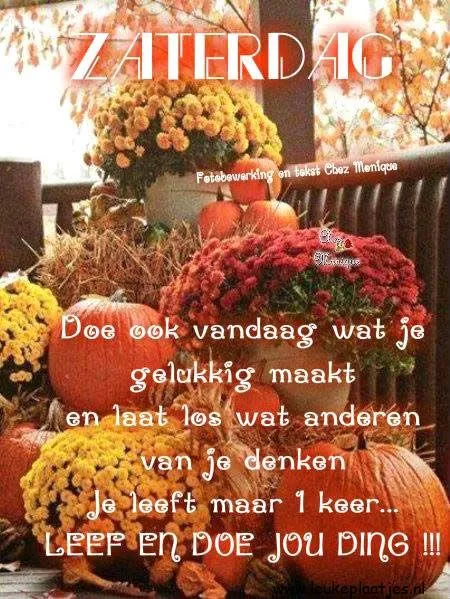 Tekst op een afbeelding met bloemen en pompoenen. Aanmoediging om jezelf te zijn.
