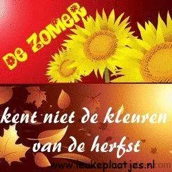 Zomer en herfst: zonnebloemen en herfstbladeren in contrasterende kleuren.